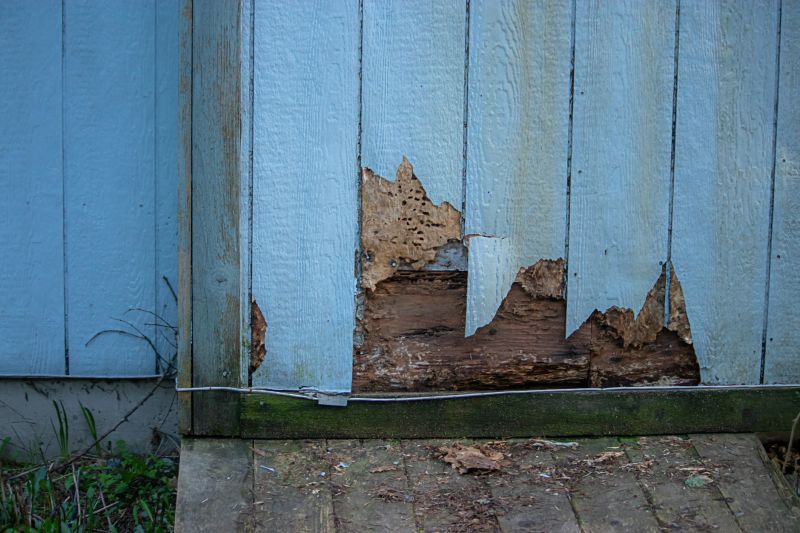 Local Board Siding Repair in Leland, NC