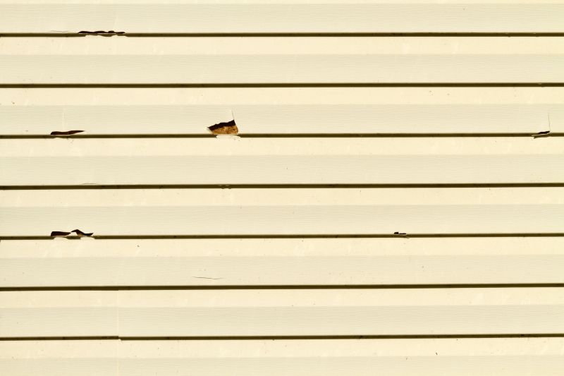 Siding Repair Costs