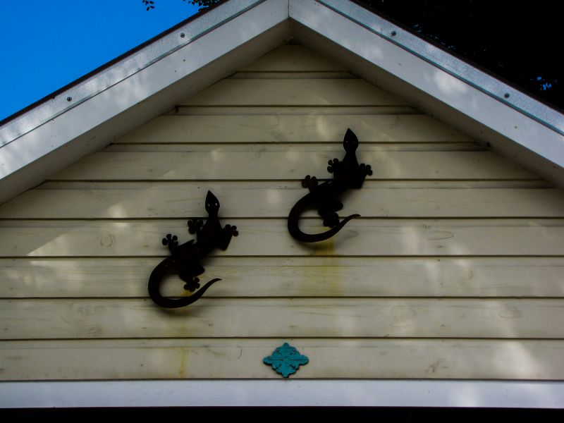 Local Shiplap Siding Repair in Southport, NC