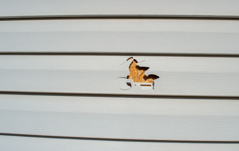 Local Vinyl Cladding Repair in Holly Ridge, NC