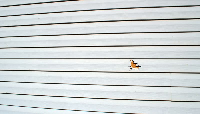Local Vinyl Siding Repair in Arvada, CO