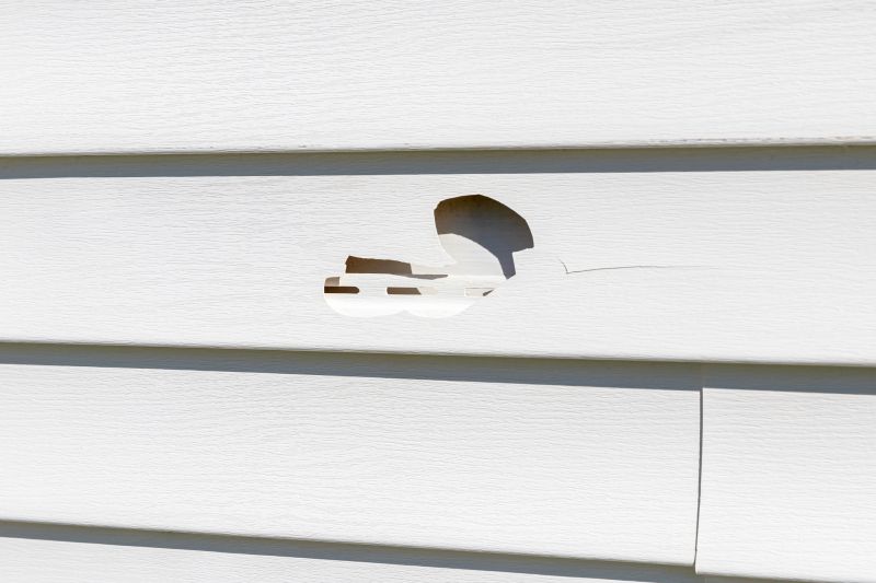 Local Vinyl Siding Repair in Burgaw, NC