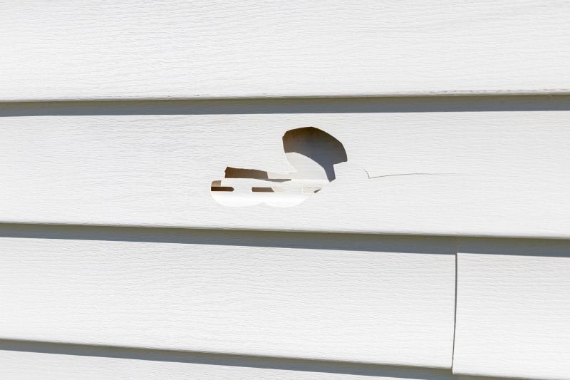 Local Vinyl Siding Repair in Louisville, CO