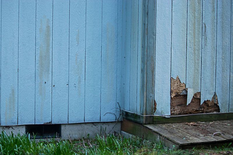 Local Wood Siding Repair in Orange Park, FL