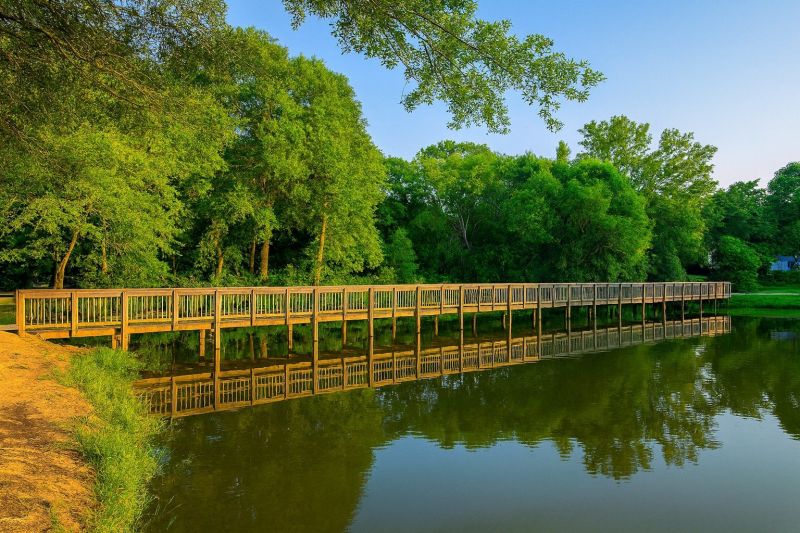 Local Cedar Siding Installation in Davidson, NC