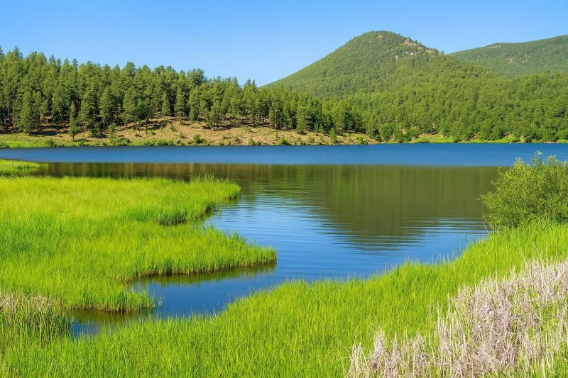 Local Commercial Siding Installation in Evergreen, CO