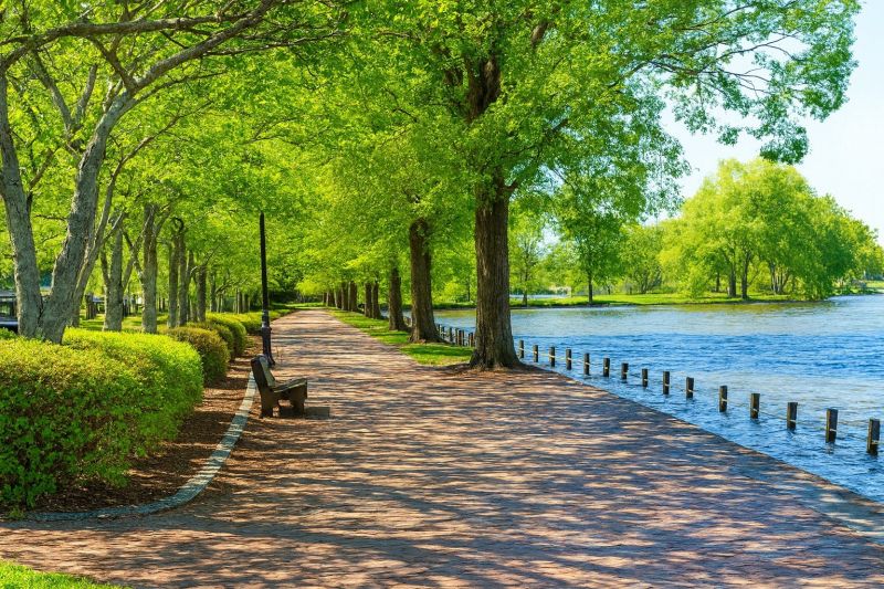 Local Commercial Siding Installation in Locust Grove, VA