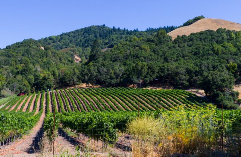 Local Composite Siding Installation in Santa Rosa, CA