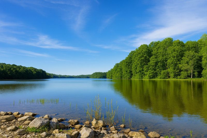 Local House Siding Installation in Burke, VA