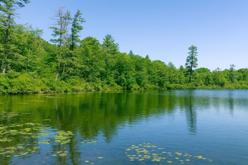 Local House Siding Installation in Lake Ariel, PA