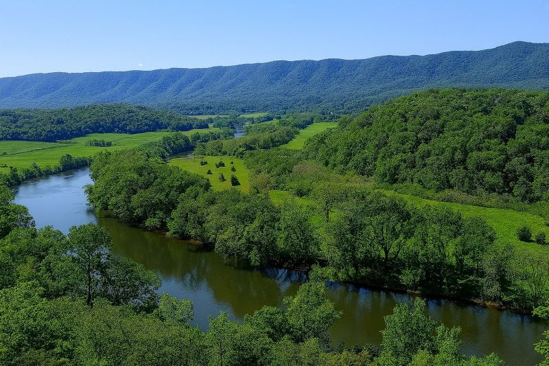 Local Vinyl Siding Installation in Front Royal, VA
