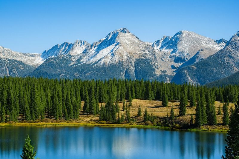 Local Wood Siding Service in Lafayette, CO